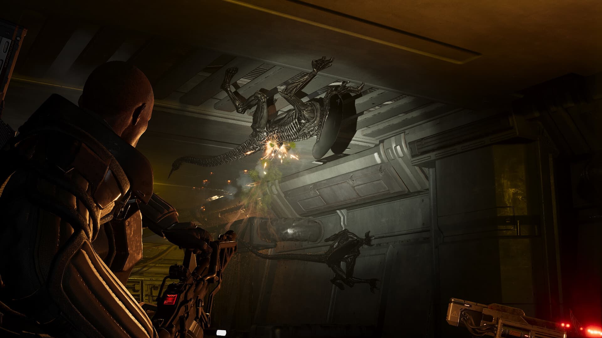 Capture officielle d’Aliens: Fireteam Elite 2 montrant un xénomorphe bondir dans une coursive.