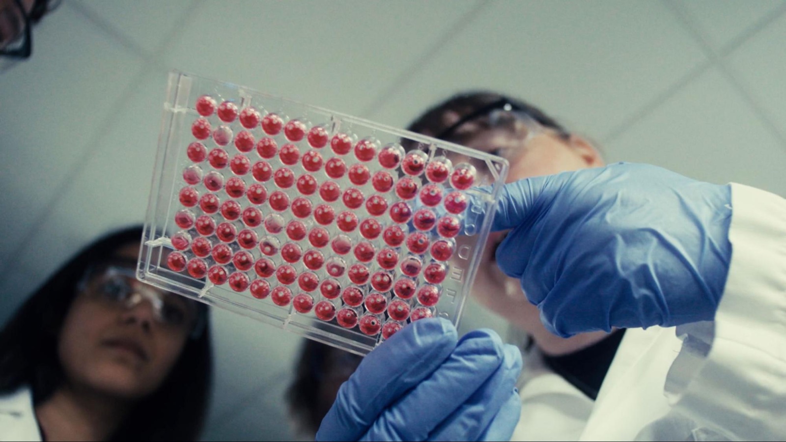 Des scientifiques de Genentech examinent une plaque de laboratoire contenant des liquides rouges et des bulles.