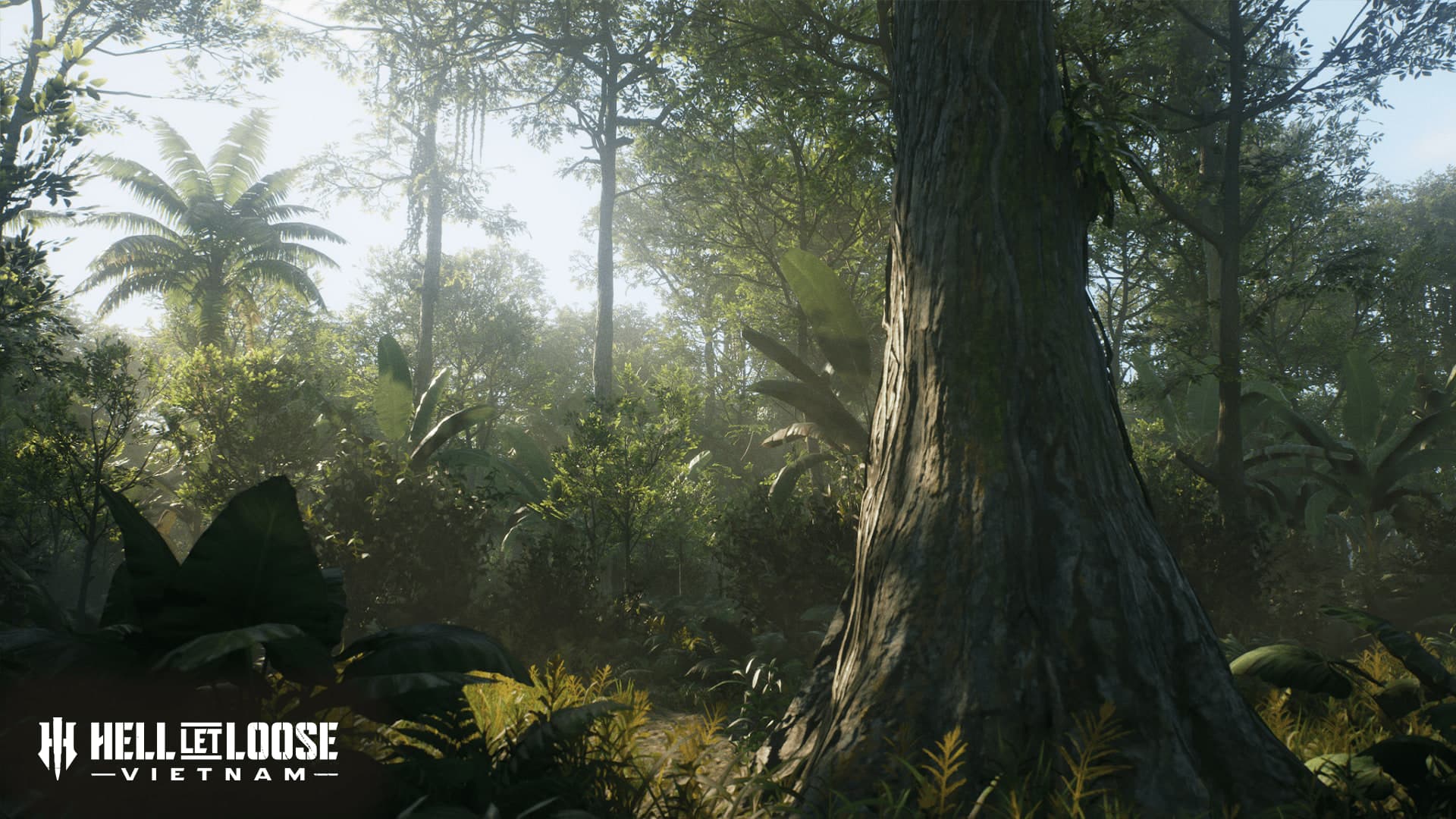 Capture officielle de Hell Let Loose: Vietnam montrant une jungle dense sous Unreal Engine 5.