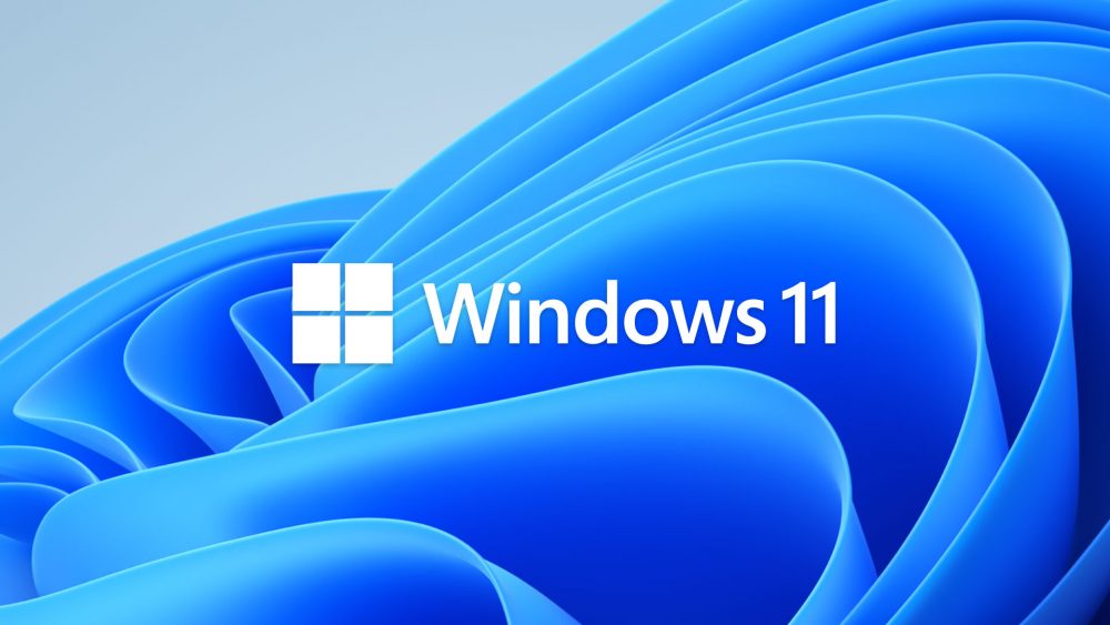 Identité visuelle officielle de Windows 11 sur le fond Bloom.