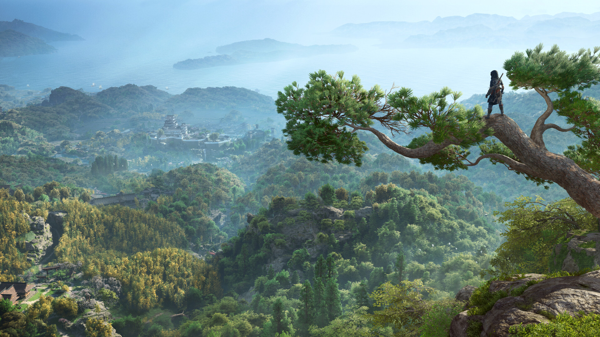 Un personnage se tient dans un arbre au-dessus d’un paysage boisé.