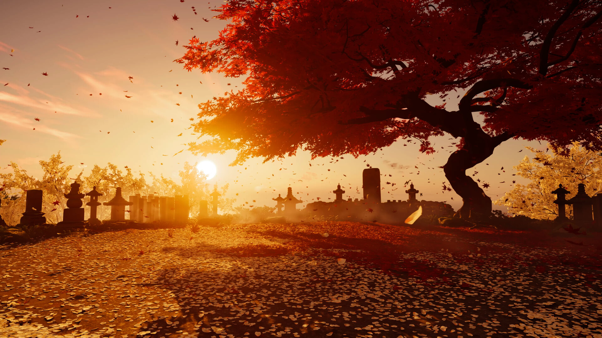 Un grand arbre rouge domine un paysage au soleil couchant.