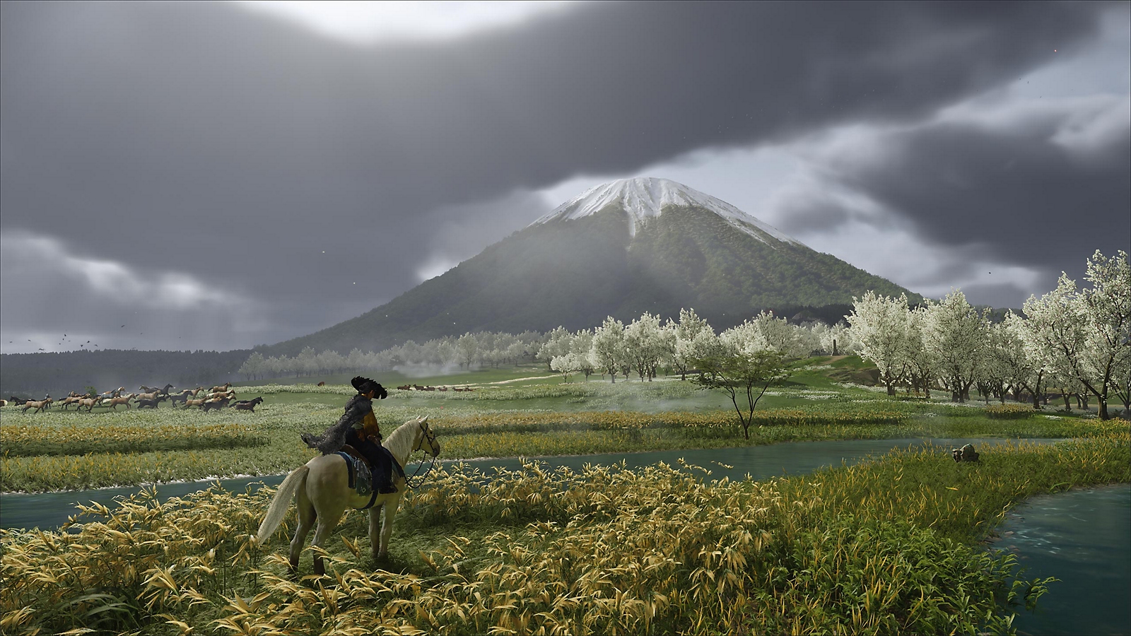 Atsu traverse une prairie face au mont Yōtei.