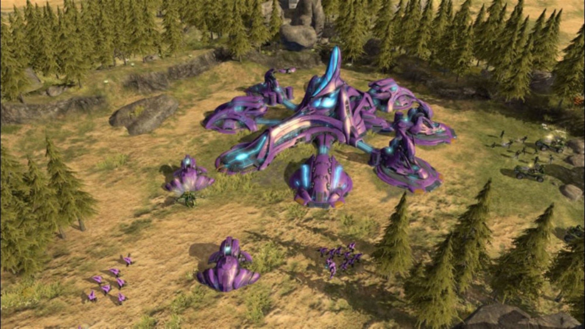 Capture officielle de Halo Wars sur Xbox 360 : une base covenante violette est installée dans une forêt de conifères.