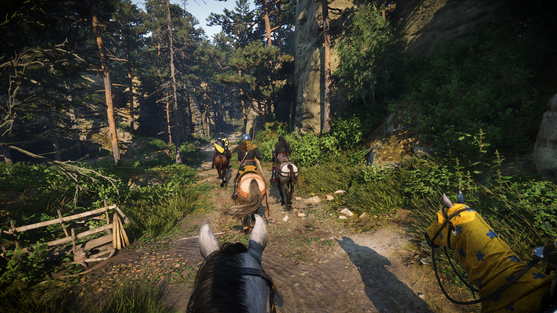 Des cavaliers parcourent un chemin forestier.