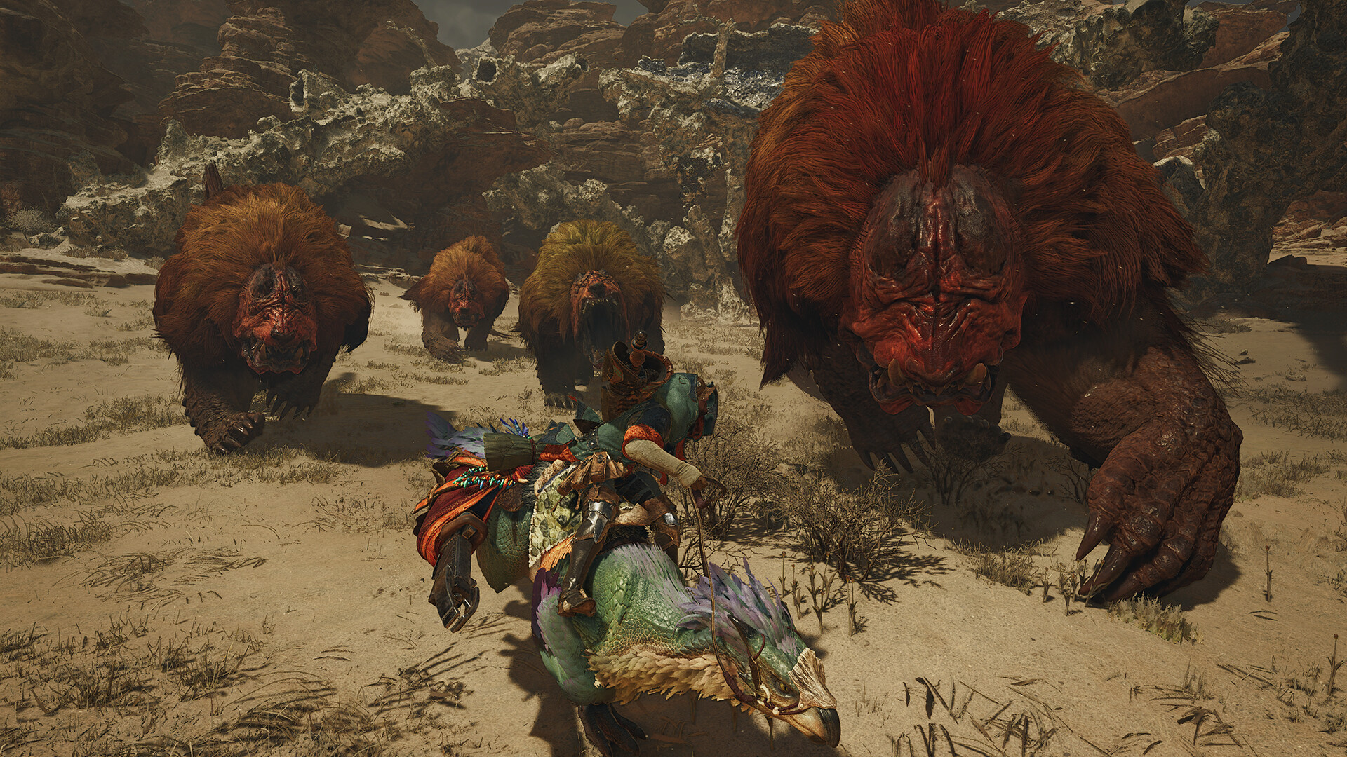 Une monture et son cavalier approchent un groupe de grandes bêtes.