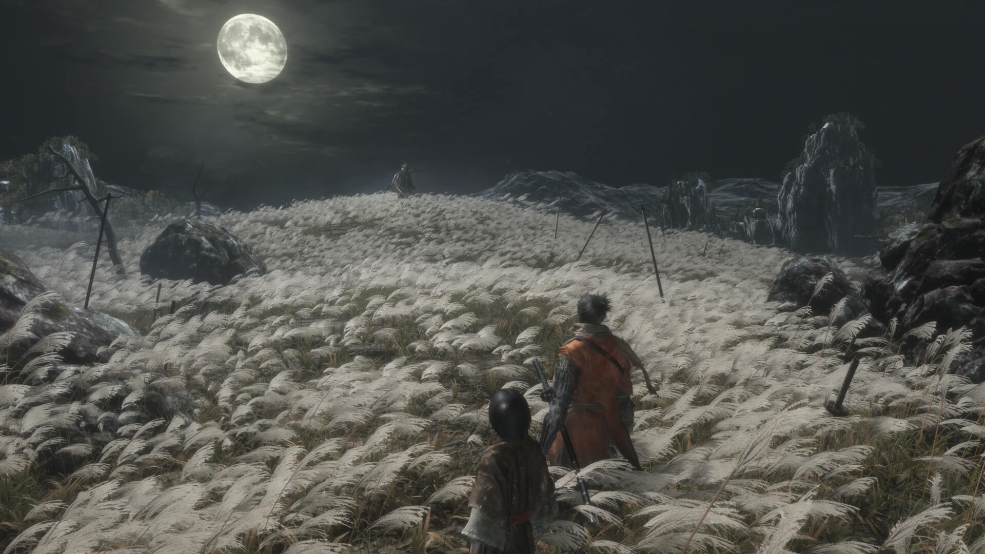 Deux guerriers se font face dans un champ sous la pleine lune.