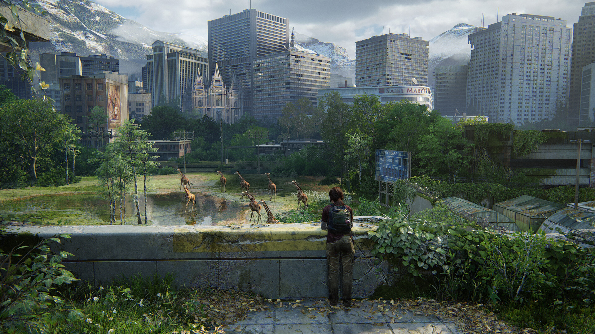 Ellie observe les girafes dans une ville recouverte de végétation.