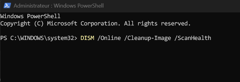 La commande d’analyse collée dans PowerShell.