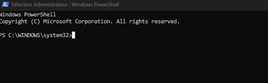Le titre « Administrateur : Windows PowerShell ».
