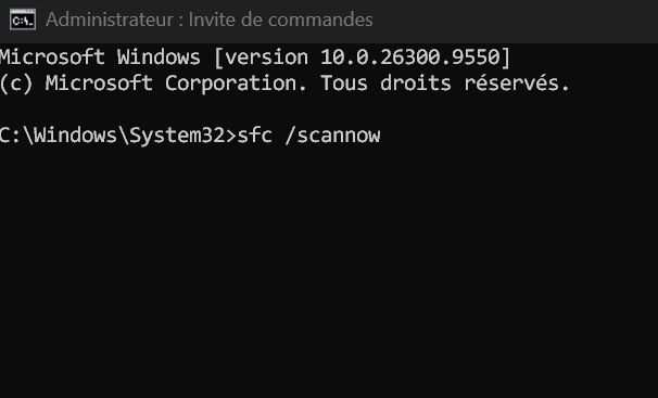 La commande de vérification des fichiers saisie.
